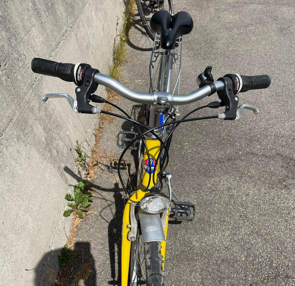 Fahrrad verkaufen Andere lkarus RS600 Junior Ankauf
